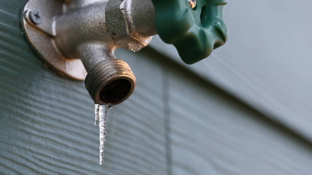 Best Sewer Line Repair  in Chelsea, MA